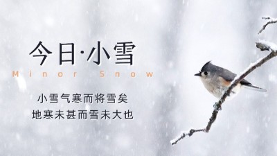 今日小雪：天漸寒，雪漸盛，愿您安康！