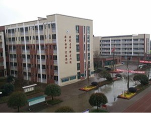 成都都江堰市育才學(xué)校消防維保項目--國晉工程案例