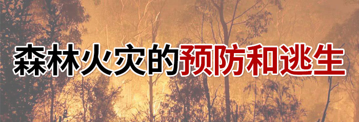 森林火災(zāi)的預(yù)防和逃生-700