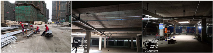4月6遠(yuǎn)洋棲棠 700 1