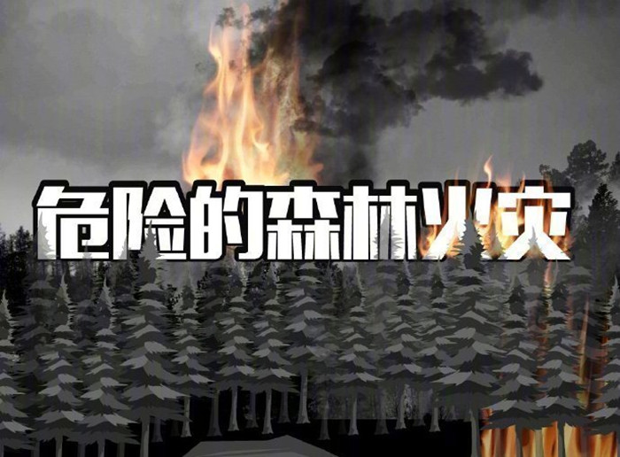 危險的森林火災_700