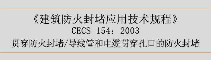 建筑防火封堵應(yīng)用技術(shù)規(guī)程-貫穿防火封堵、導(dǎo)線管和電纜貫穿孔口的防火封堵-700